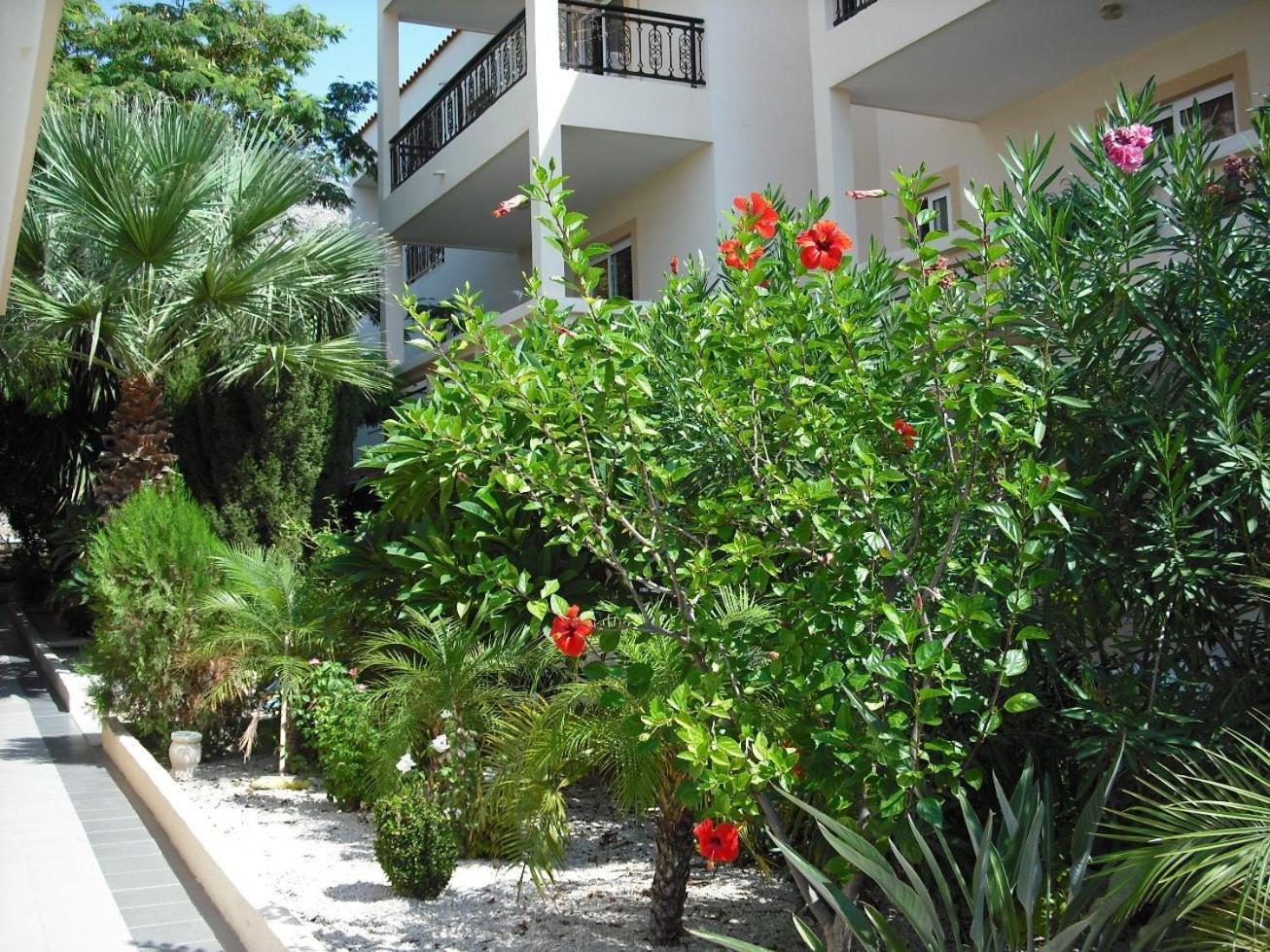 Summer Memories Aparthotel Pefki  Екстер'єр фото
